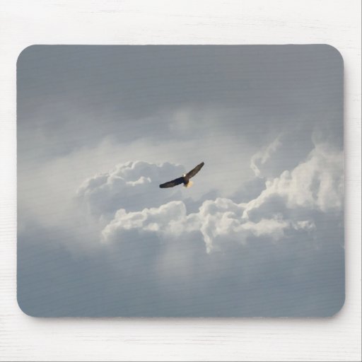 Soaring Eagle Mouse Pads