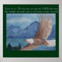 Soaring eagle posters