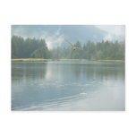 Soaring Free Postcards