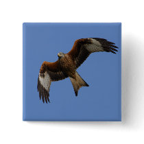 Soaring Red Kite Buttons