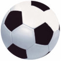 Soccer Ball Photo Sculpture photo sculptures