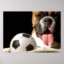 Soccer boxer dog canvas print