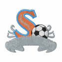 Soccer Design embroidered shirts