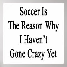Soccer Is The Reason Why I Haven't Gone Crazy Yet Poster