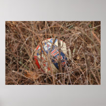 Soccer Poster