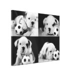 "Soccer Puppies" English Bulldog Collage Canvas Print