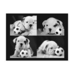 "Soccer Puppies" English Bulldog Collage postcards