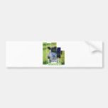 SocceriGuide Captain Bumper Stickers