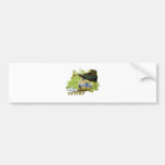 SocceriGuide Soccer Ball Bumper Stickers