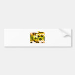 SocceriGuide Striker Bumper Stickers