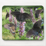 Social Butterfly ~ mousepad