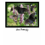 Social Butterfly ~ T-shirt