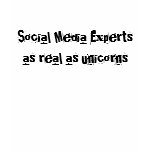 Social Media Experts as real as unicorns t-shirts