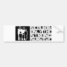 Social Work Survive Bumper Stickers