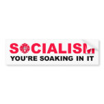 Socialised Firefighting Soaking Bumper Sticker