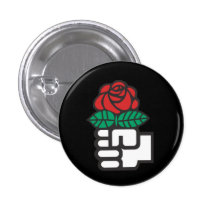 Socialist International Pin