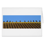 socialites cards
