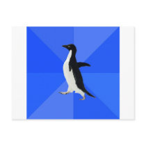 Socially-Awkward-Penguin-Meme Post Cards