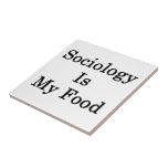 Sociology Is My Food Ceramic Tiles