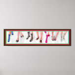 Socks and Shoes Panorama posters