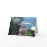 Socky in Hawaii Greeting Card