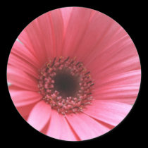 Soft And Pink stickers