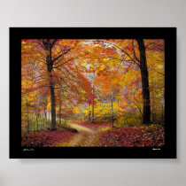 Soft Autumn Rain Poster