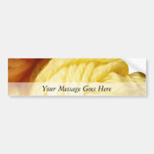 Soft Balls Of Yarn Bumper Stickers