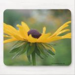 Soft Black Eyed Susan Flower Photo Mousepad