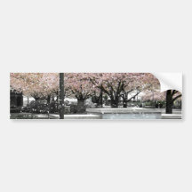 Soft Blossoms Bumper Sticker