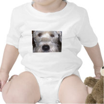 Soft Coated Wheaten Terrier T Shirts