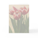 Soft Focus Photo of 3 Tulips in Spring cards