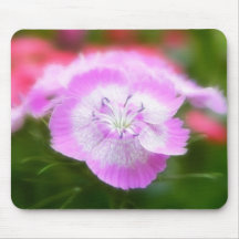 Soft Focus Sweet Williams Mousepad