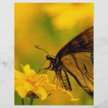 Soft Landing Personalized Flyer