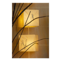 Soft Light. Photo Art