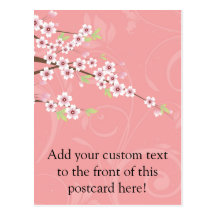 Soft Pink Cherry Blossom Post Card