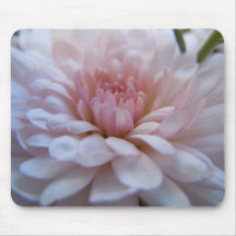 Soft Pink Chrysanthemum Mousepad