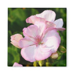 Soft Pink Geranium Magnet