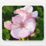 Soft Pink Geraniums Mousepad