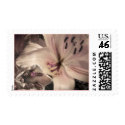 Soft Pink Lily Wedding  Flowers Postage Stamps