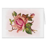 Soft Pink Rose Customisable Cards