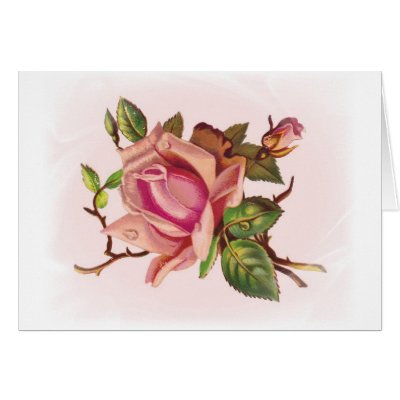 Soft Pink Rose Customisable Cards by vintagegiftmall