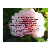 Soft Pink Rose with Romantic Verse Postcard