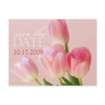 Soft Pink Tulips Save The Date Postcard
