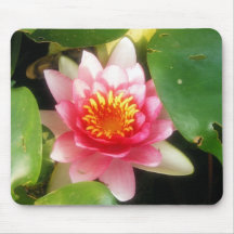 Soft Pink Waterlily Mouse Pad