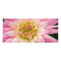Soft Pink & White Dahlia DSC4463 Custom Invite