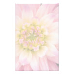 Soft Pink & White Dahlia DSC4463 Stationery Paper