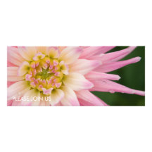 Soft Pink & White Dahlia DSC4466 Custom Invite