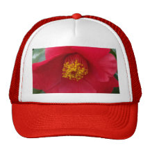 Soft Red Camellia Hats