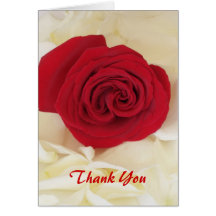 Soft Red Rose Thank You Cards